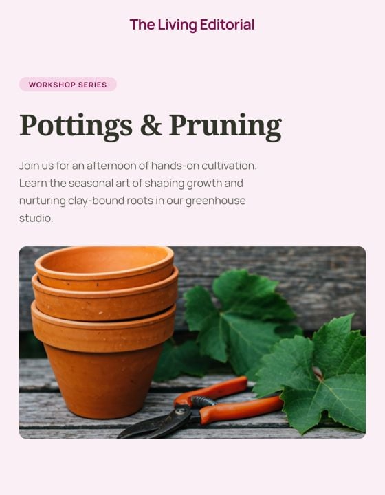 Plant & Gardening 5